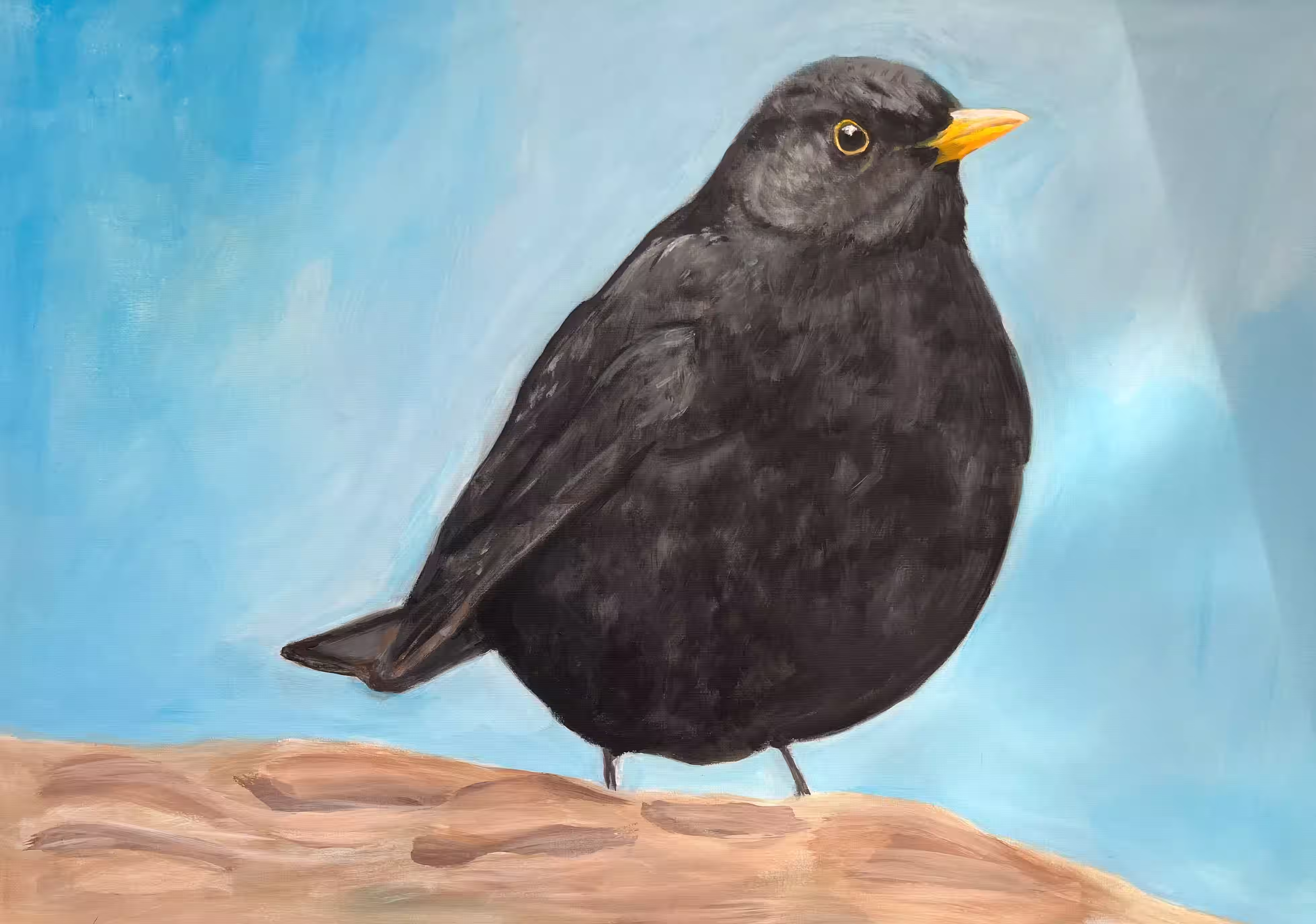 Dikke merel - Acryl op canvas Dikke merel - Acryl op canvas